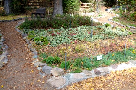 Mount Shasta City Park - Mount Shasta City, California - DSC02767
