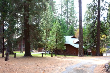 Mount Shasta City Park - Mount Shasta City, California - DSC02766