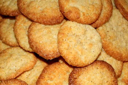 Cookie cutter christmas cookies
