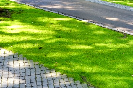 Moss along the entryway - Barberini Gardens - Castel Gandolfo - DSC04277
