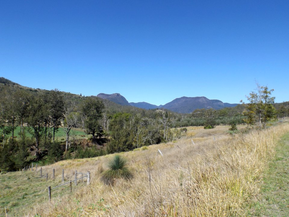 Mount Razorback and Mount Widgee