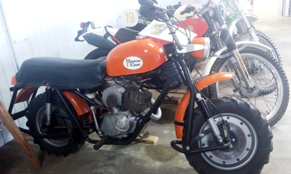 Mountain goat motorcycle 02