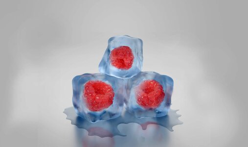 Frozen melt ice photo