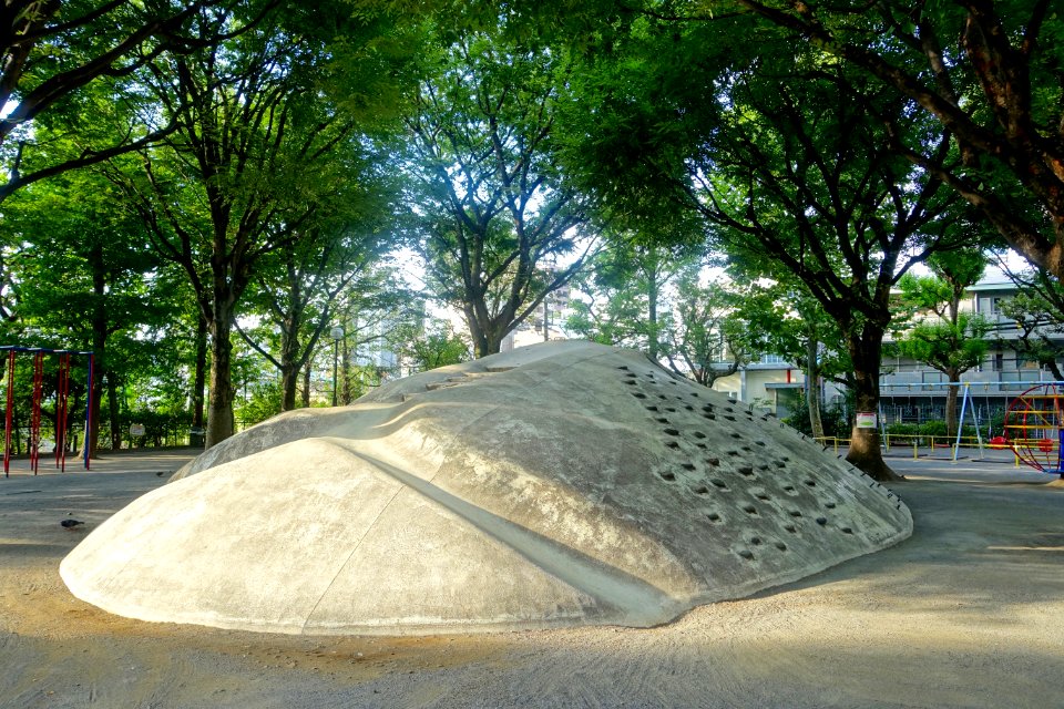 Mountain - Silver Park - Shinjuku, Tokyo, Japan - DSC05035