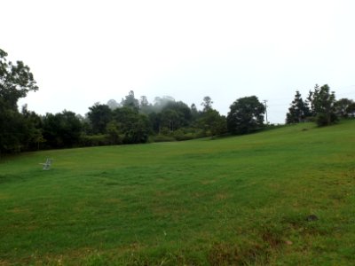 Mount Wunburra and field along Pine Creek Road at Springbrook, Queensland