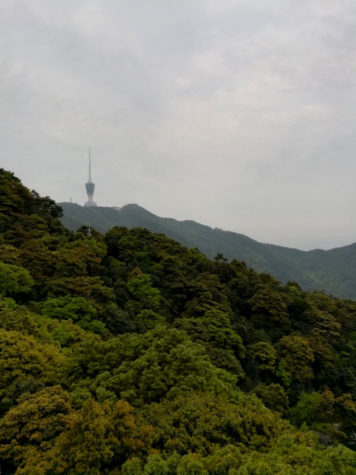 Mount Wutong in Luohu District of Shenzhen, picture8