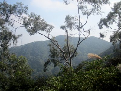 Mount Small Yangtai10