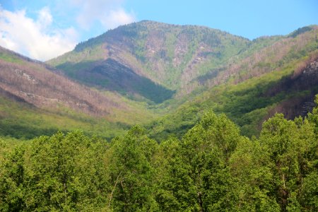Mount LeConte viewed from Carlos Campbell Overlook, May 2017