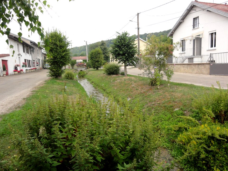 Moulainville (Meuse) Rue Basse (ouest)