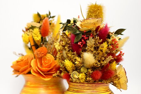 Dried decorative flowers ceramics