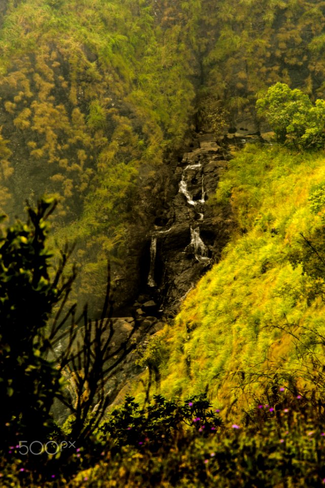 Mountain Stream (189666791)