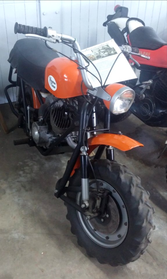 Mountain goat motorcycle 01