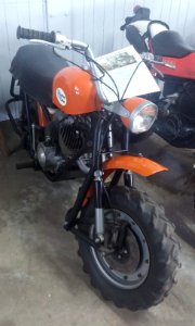 Mountain goat motorcycle 01