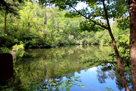 Mountain Lake, Paris Mountain State Park June 2019 1