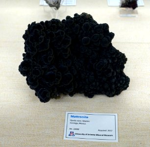 Mottramite, Ojuela mine, Mapimi, Durango, Mexico - University of Arizona Mineral Museum - University of Arizona - Tucson, AZ - DSC08529
