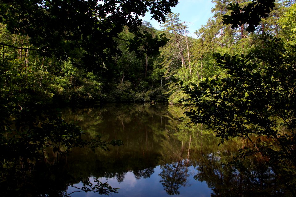 Mountain Lake, Paris Mountain State Park June 2019 2