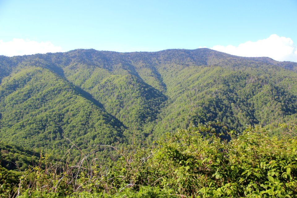 Mount Kephart viewed from US 441, May 2017