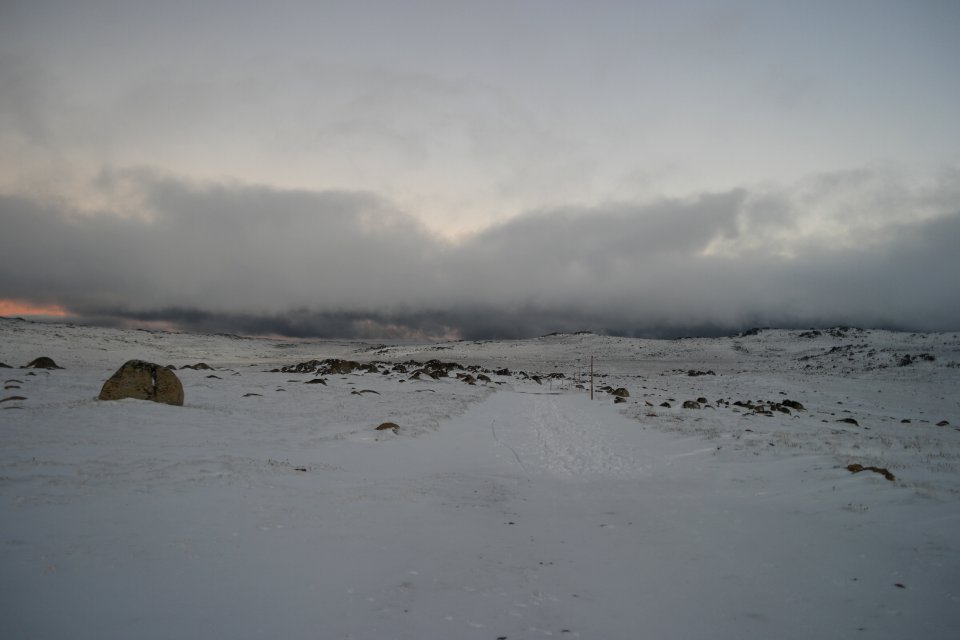 Mount Kosciuszko Summit walk, Kosciuszko National Park 24