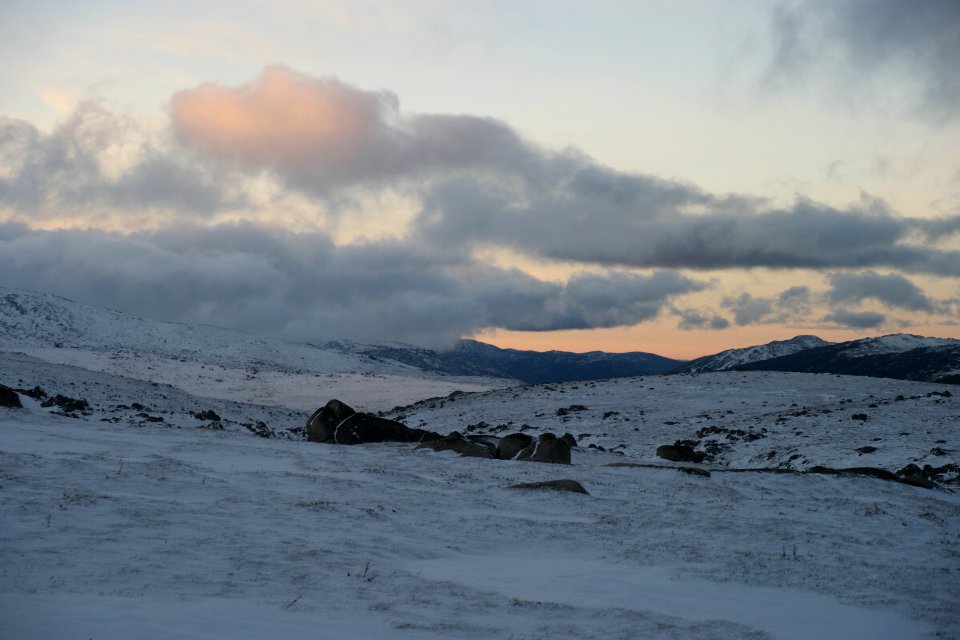 Mount Kosciuszko Summit walk, Kosciuszko National Park 22