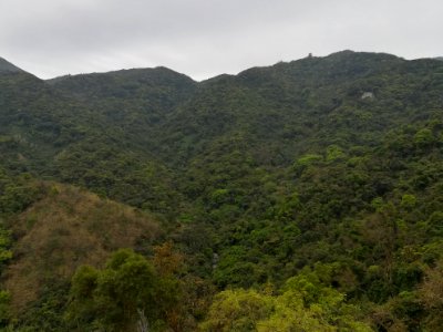 Mount Wutong in Luohu District of Shenzhen, picture2