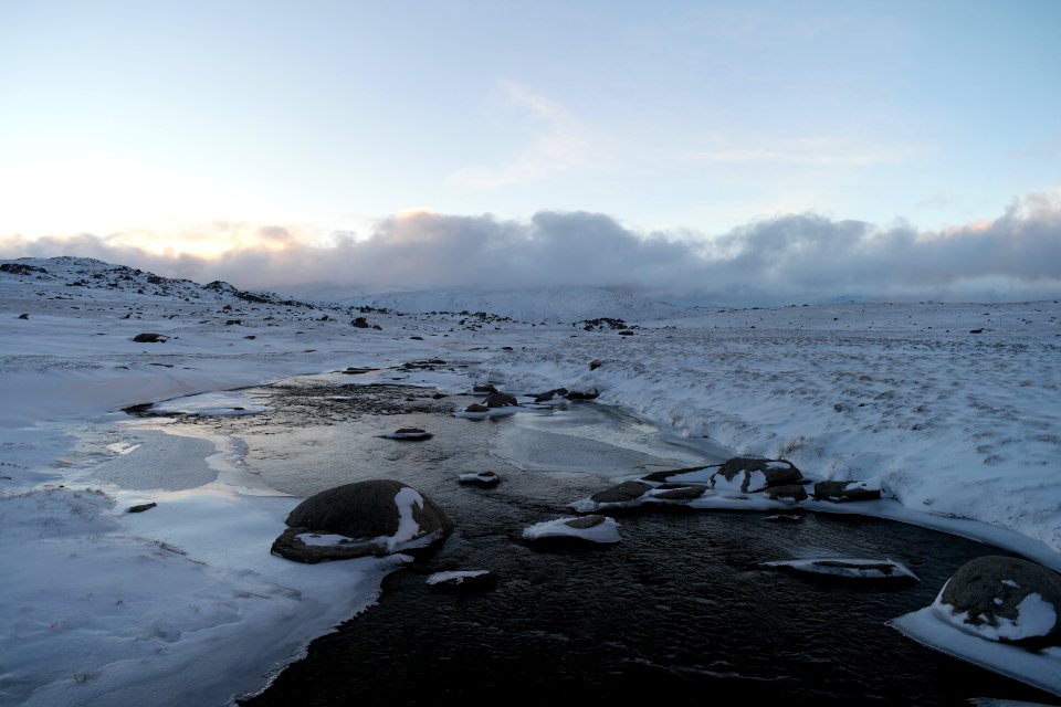 Mount Kosciuszko Summit walk, Kosciuszko National Park 19