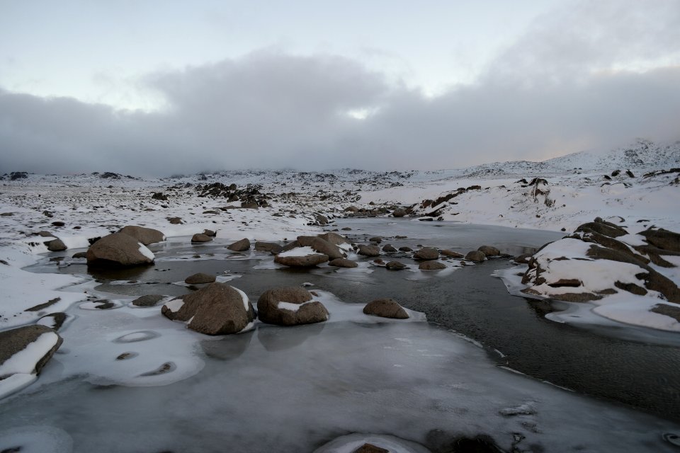 Mount Kosciuszko Summit walk, Kosciuszko National Park 16