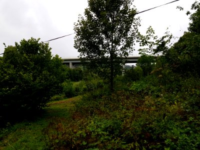 Most autostrady D3 w Skalite-Kudlov na Słowacji (2)
