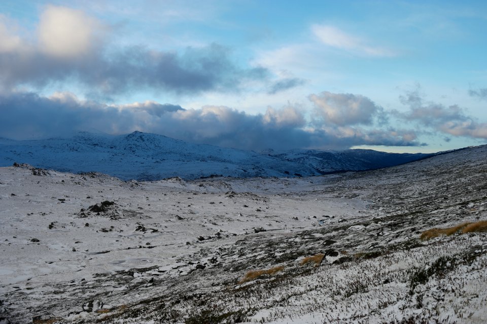Mount Kosciuszko Summit walk, Kosciuszko National Park 08