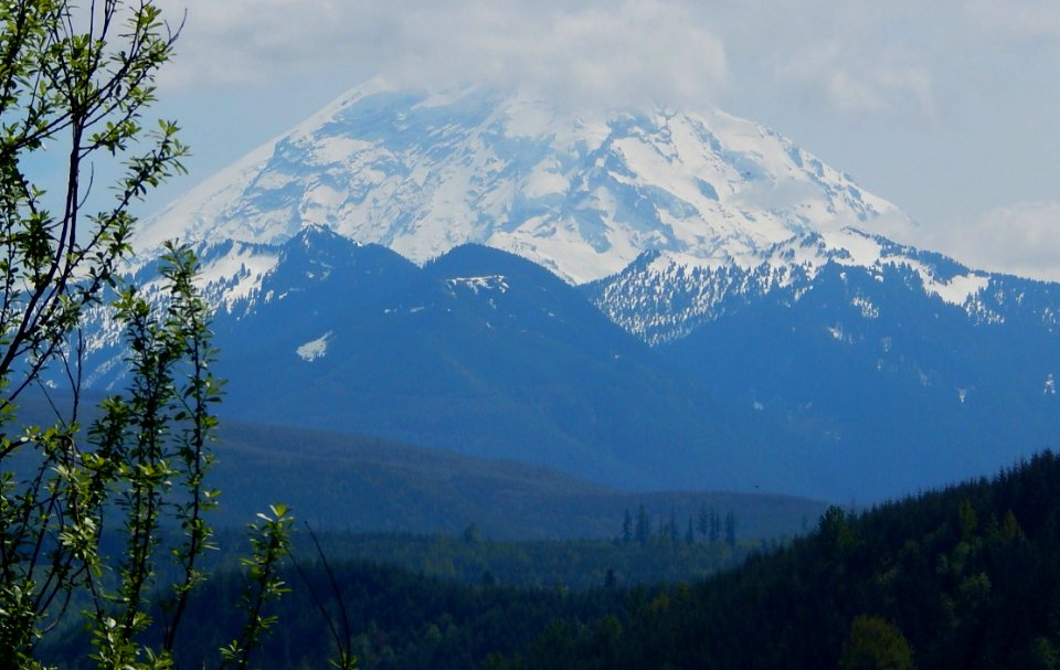 Mount Rainier seen from nortth