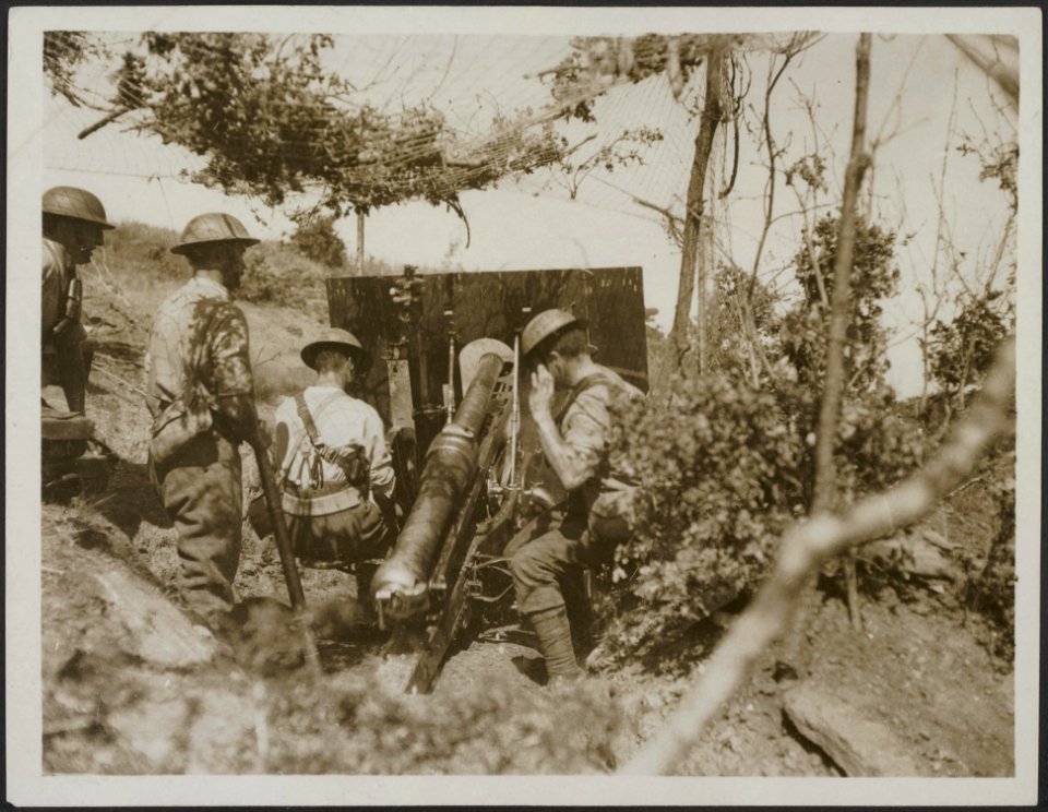 Mountain artillery in action on Dorian front, Bestanddeelnr 158-2506