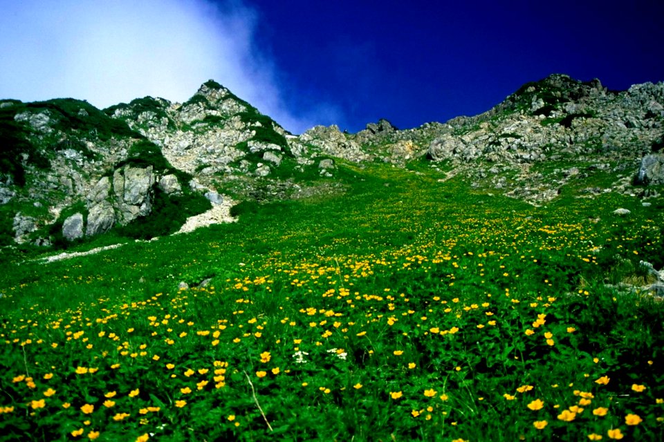Mount Kasa Shakushidaira 2001-7-28