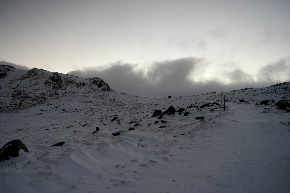 Mount Kosciuszko Summit walk, Kosciuszko National Park 26