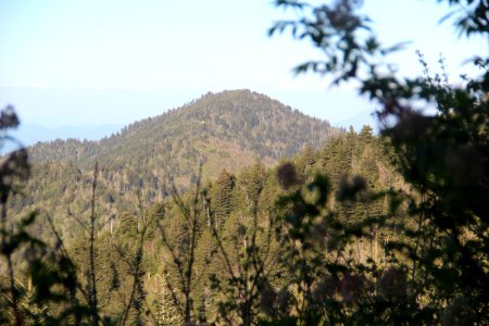 Mount Lyn Lowry viewed from Waterrock Knob, May 2017