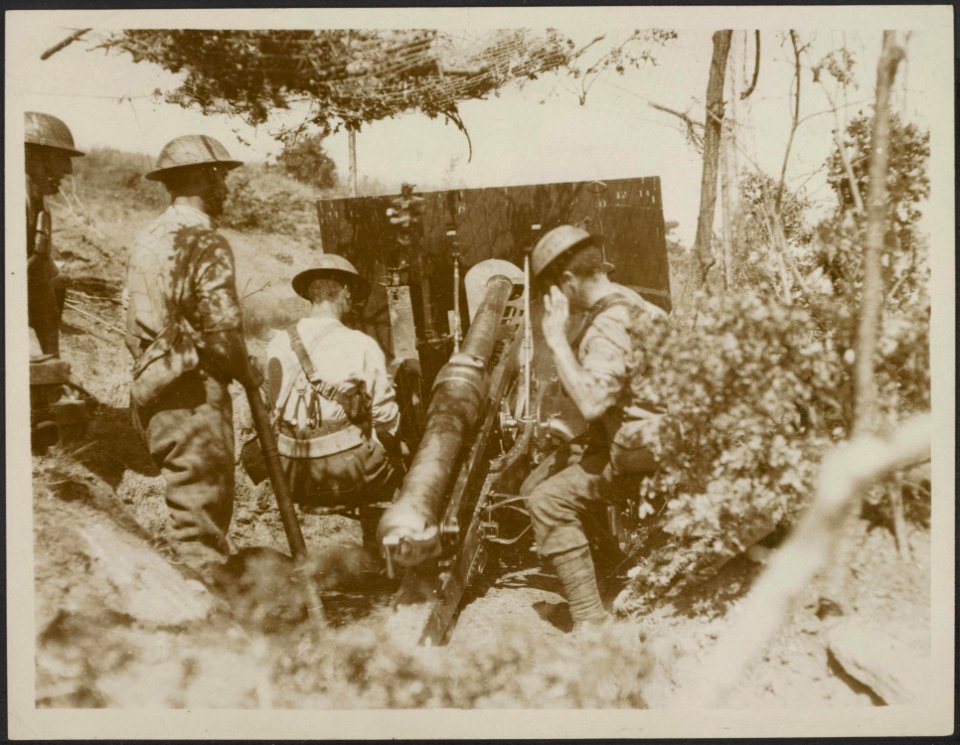 Mountain artillery in action on the Dorian Front, Bestanddeelnr 158-2209