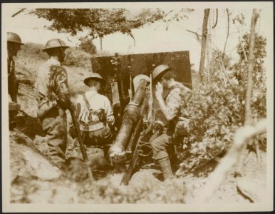 Mountain artillery in action on the Dorian Front, Bestanddeelnr 158-2209