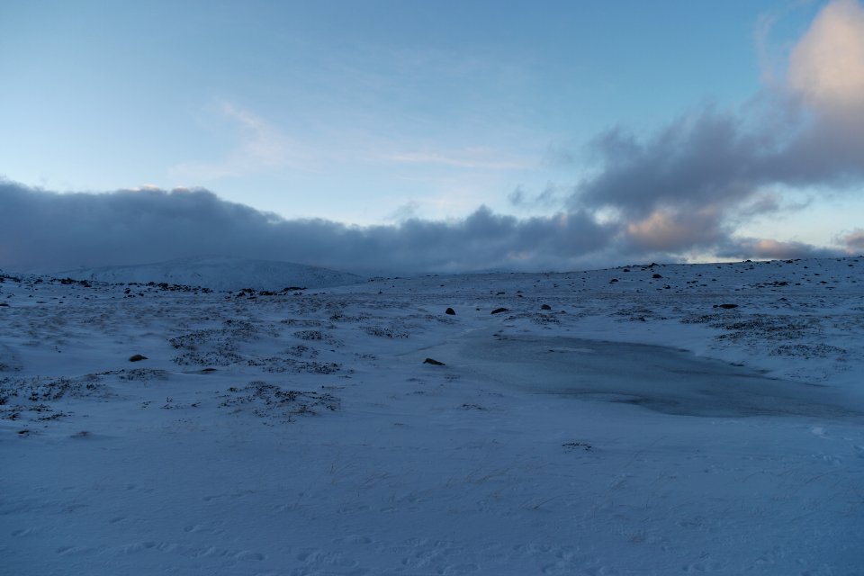 Mount Kosciuszko Summit walk, Kosciuszko National Park 14