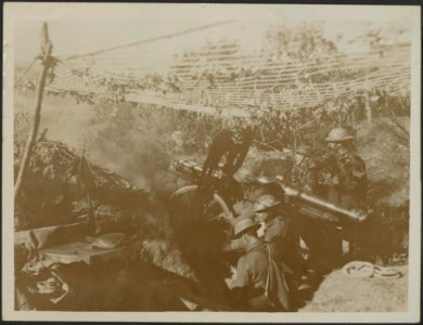 Mountain artillery in action on the Dorian Front, Bestanddeelnr 158-2179