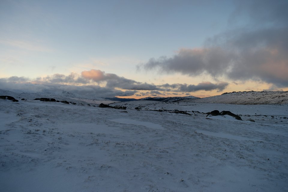 Mount Kosciuszko Summit walk, Kosciuszko National Park 21