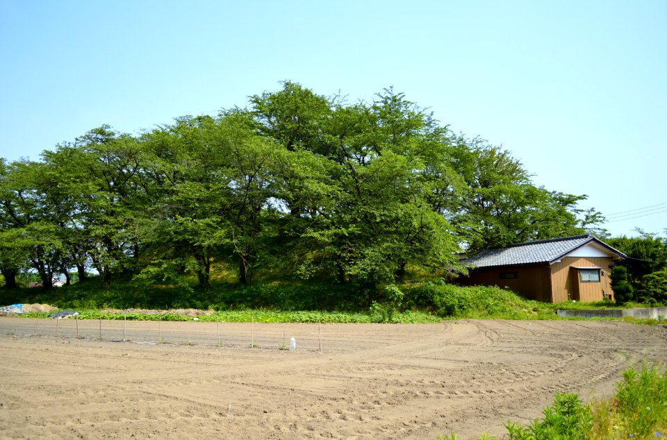Motoshimana-shōgunzuka-kofun-1