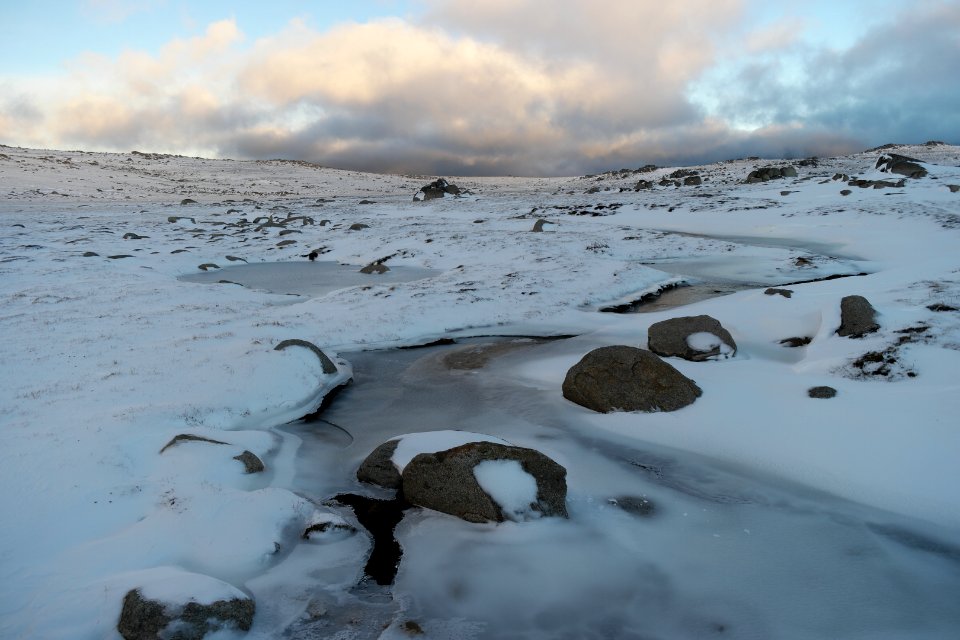 Mount Kosciuszko Summit walk, Kosciuszko National Park 10