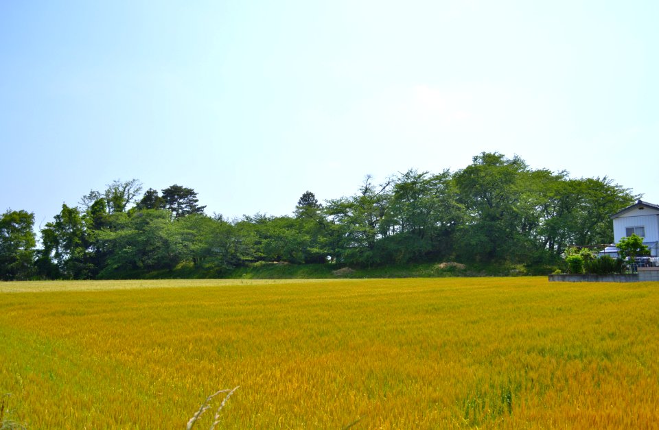 Motoshimana-shōgunzuka-kofun-2