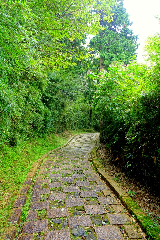 Motohakone-Kojiri path - Hakone, Japan - DSC05676