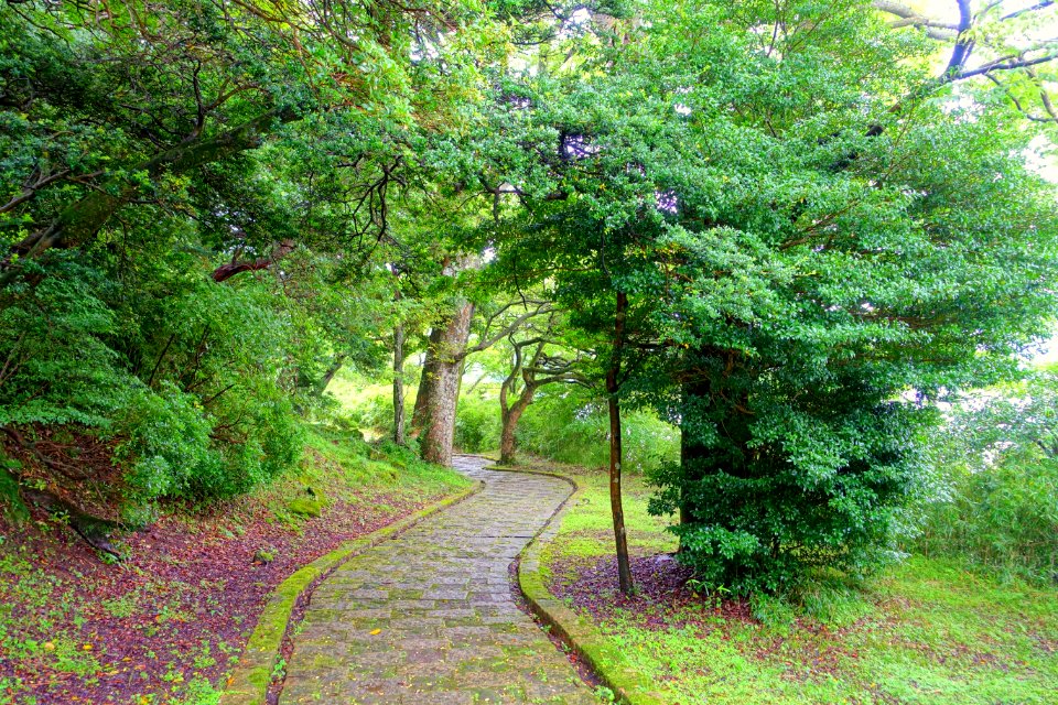 Motohakone-Kojiri path - Hakone, Japan - DSC05680