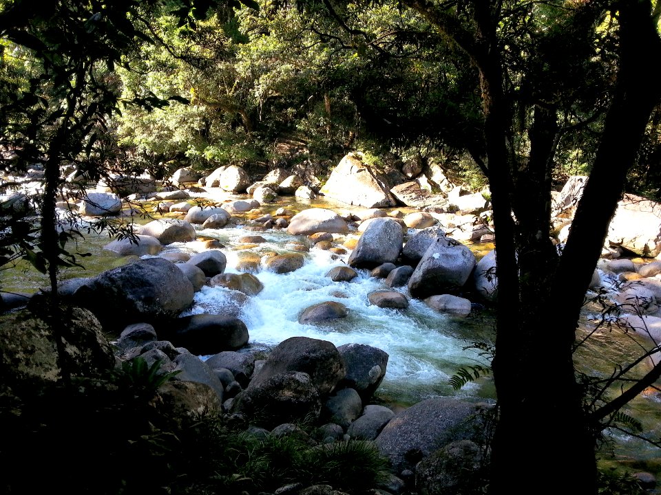 Mossman Gorge, Daintree National Park, Queensland 03