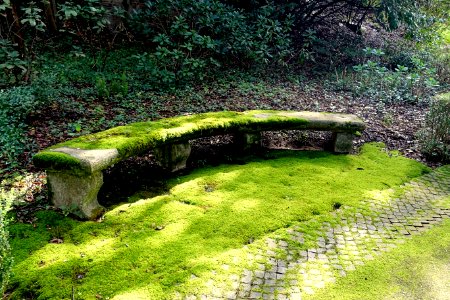 Mossy bench - Barberini Gardens - Castel Gandolfo - DSC04329
