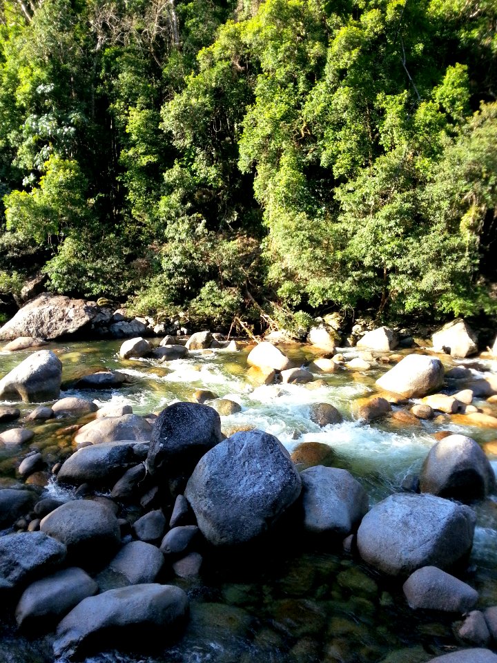 Mossman Gorge, Daintree National Park, Queensland 04
