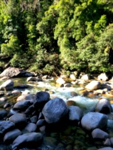 Mossman Gorge, Daintree National Park, Queensland 04
