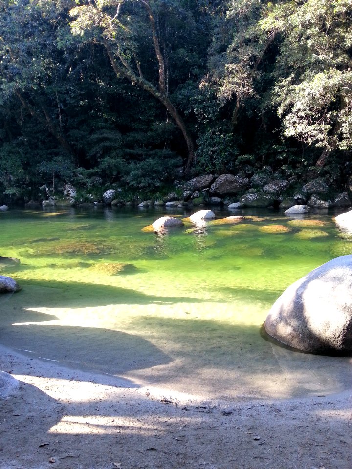 Mossman Gorge, Daintree National Park, Queensland 05