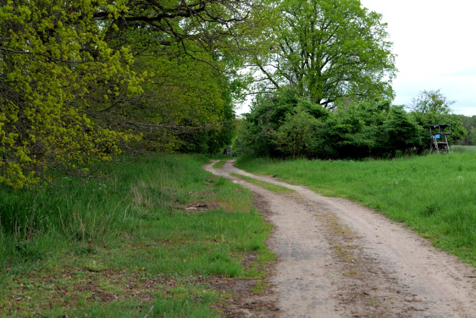 Mossberge 2020-05-15 06