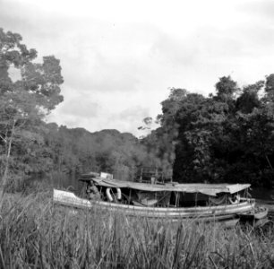 Motorschip Coppename dat vaart tussen Coronie en Nickerie, Bestanddeelnr 252-5624